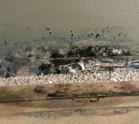 water damage and mold, Behind the base board