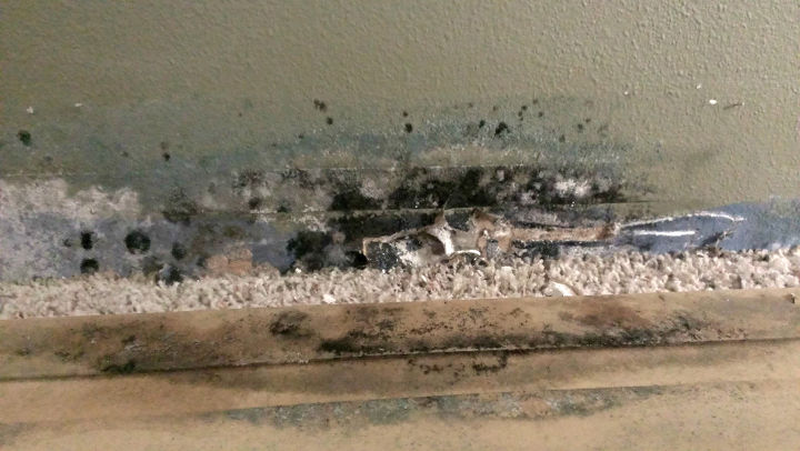 water damage and mold, Behind the base board