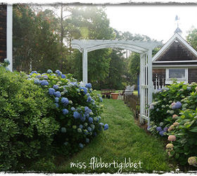 my home, gardening, outdoor living, Through the arbor to the potting shed