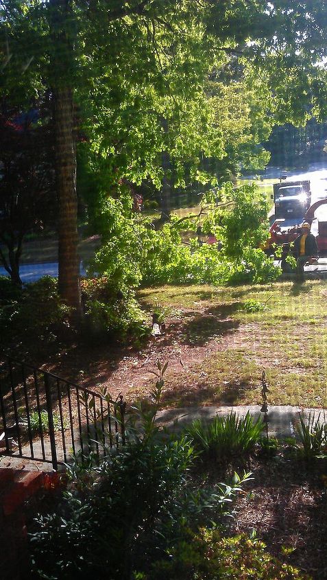 feeling a little melancholy watching trees come down, gardening, DURING Here they are dragging the last of a triple trunk oak to the chipper Wish I had started taking pics when they began Guess I was just so busy watching I didn t think about it