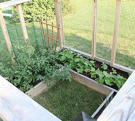 diy raised bed garden enclosure, diy, gardening, raised garden beds