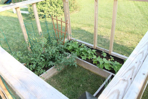 Diy Raised Bed Garden Enclosure Hometalk