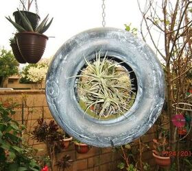 my new hobby collecting different kinds of succulent plants, flowers, gardening, home decor, succulents, repurposing ceramic tire shape bird feeder