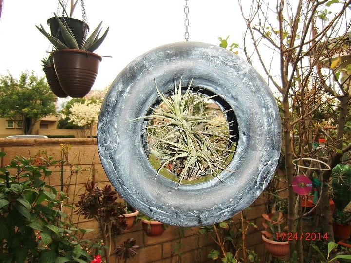 my new hobby collecting different kinds of succulent plants, flowers, gardening, home decor, succulents, repurposing ceramic tire shape bird feeder