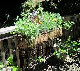 planting a wire scroll window box so that it withstands the elements, Don t you love the herb markers Barbara E has in her window box
