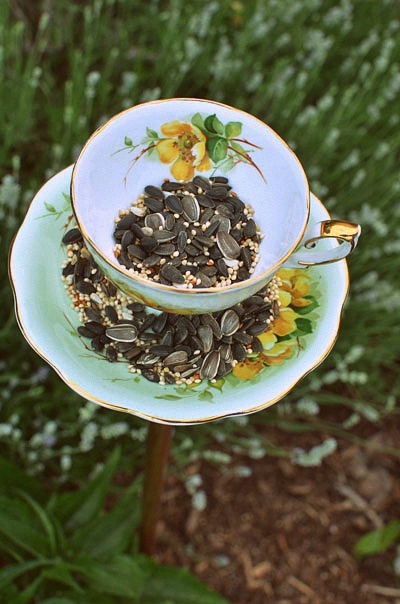 make a diy teacup birdfeeder, gardening, repurposing upcycling