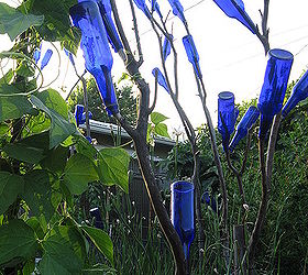another bottle tree idea, gardening, repurposing upcycling