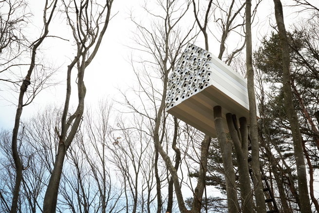 5 amazing treehouses, outdoor living, Giant birdhouse with an observation room