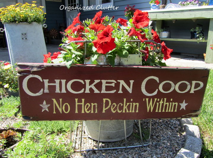 garden roosters hens and chicks, gardening, outdoor living, repurposing upcycling, I also had a wire egg crate that I put a galvanized pail inside and planted a red trailing petunia I also purchased a sign