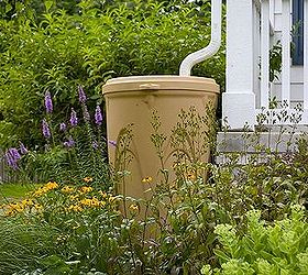 cut down your water bill by providing free rainwater for irrigation, container gardening, gardening, go green, landscape