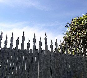 garden fencing ideas with redwood palings that have taken off, diy, fences, outdoor living, woodworking projects, The birds against the sky