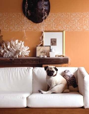 home staging tips for pet proofing your furniture, real estate