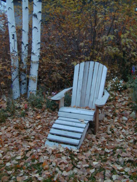alasca tenant yard paraleleppedos e paisagismo, folhas do outono