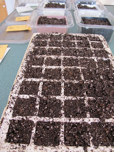 mixing up your own seed starting mixture, gardening, Starting seeds indoors is fun and easy