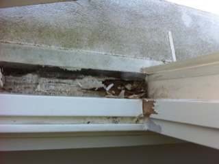 just moved into a house with water damage on my windows see enclosed photo i, windows