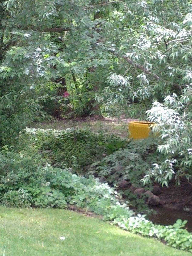 q any ideas on what to plant in zone 5 huge containers, container gardening, gardening, 2013 placed in far part of yard