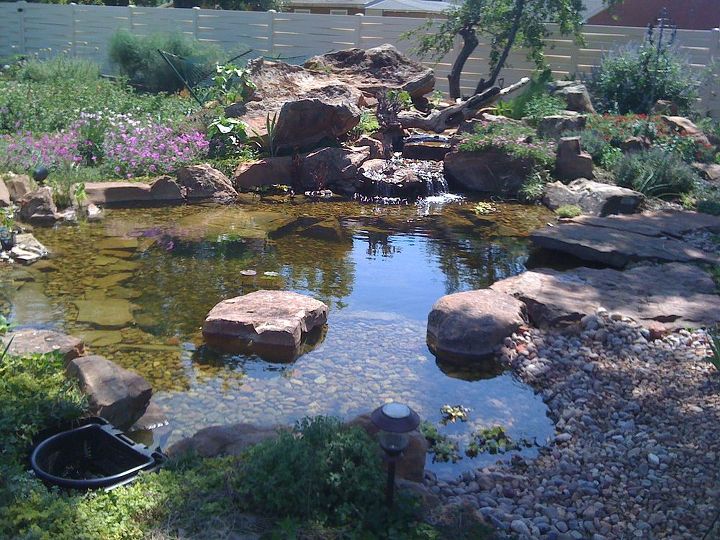 water gardens ponds and water features in oklahoma, landscape, outdoor living, ponds water features, Ready for the Bees