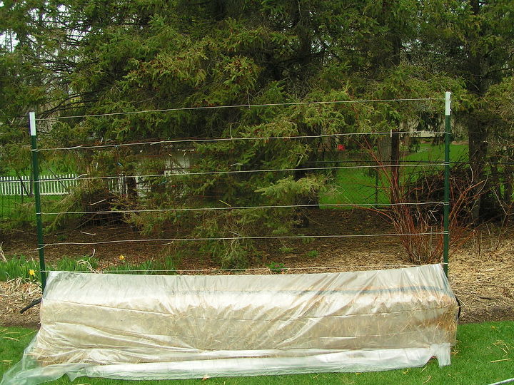 straw bale gardening great in all climates from the arctic to the caribbean islands, container gardening, flowers, gardening, Early in the season make the straw bales into a greenhouse the conditioning of the bale below emits lots of heat during the process which warms the root zone and protects plants on the surface from frost They love this up in the Arctic Circle in AK and Canada See more at