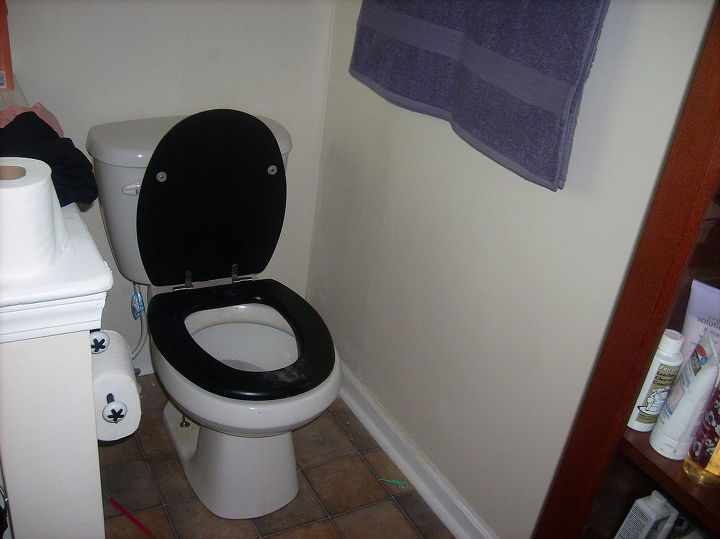 master bathroom, New toilet that was installed