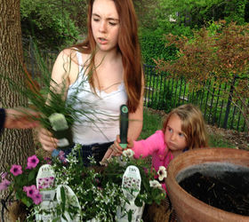 kids mothers day gardening project a proven winner, container gardening, flowers, gardening, The Kids Really Liked Corkskrew Rush