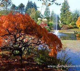 vandusen botanical gardens a vancouver classic, gardening, Livingstone Lake at VanDusen Botanical Gardens in Vancouver
