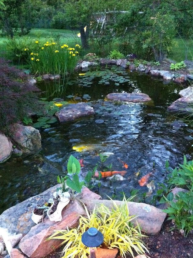 water gardens ponds and water features in oklahoma, landscape, outdoor living, ponds water features, Ecosystem Pond