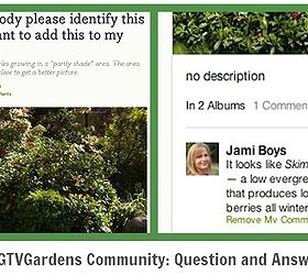 a garden tool to find plants for specific conditions, flowers, gardening, tools, Getting questions answered is another nice aspect of the site