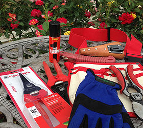 celebrate national rose month are you in or out, flowers, gardening, A rosarians tool kit for pruning
