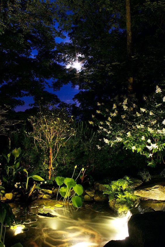 proper landscape lighting, landscape, lighting, Aquascape LED s with a little help from the moon