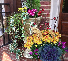 tgif thank god it s fall y all part 2 gardenchat falldecor, container gardening, gardening, seasonal holiday d cor, Friends come calling and this is what they ll find at the front door