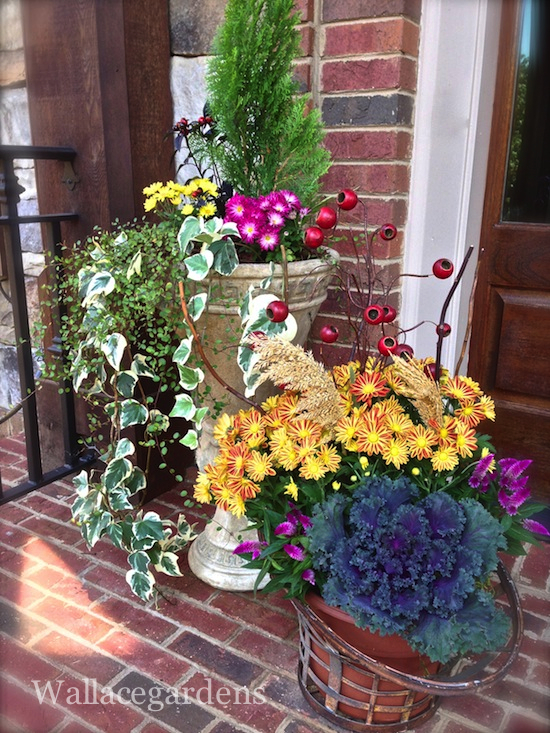 tgif thank god it s fall y all part 2 gardenchat falldecor, container gardening, gardening, seasonal holiday d cor, Friends come calling and this is what they ll find at the front door