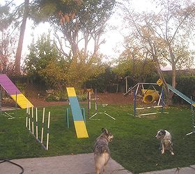 how do you share your yard with your pet, outdoor living, a makeshift obstacle course teaches trust obedience and is fun