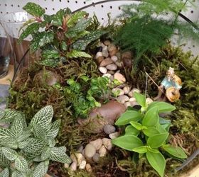 terrariums in all shapes and sizes, crafts, gardening, terrarium, This half bowl has an Asian theme I used rocks to mimic a river