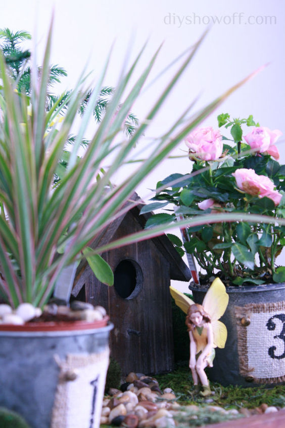 hoping a mini greenhouse inspires a green thumb, gardening, terrarium, fairy garden