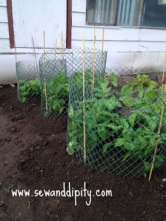 easy potato bins, gardening, Potato cages