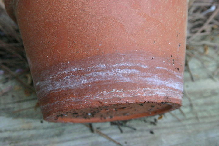 crusty white stuff on pots, cleaning tips, gardening