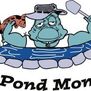 THE POND MONSTER