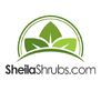 SheilaShrubs.com