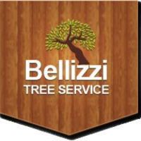 Bellizzi Tree Service Of San Jose