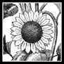 SunflowerHugs