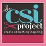 The CSI Project