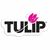 Tulip Color + COLORSHOT