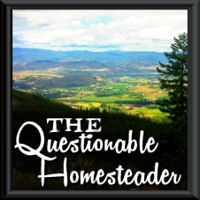 The Questionable Homesteader