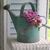 Judy Walters Weiss