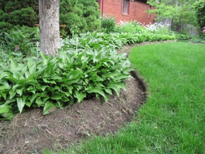 five spring tasks to get your garden looking it s best, flowers, gardening, perennials