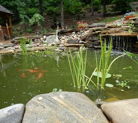 just updating pictures from last years pond project, outdoor living, ponds water features, our happy fish