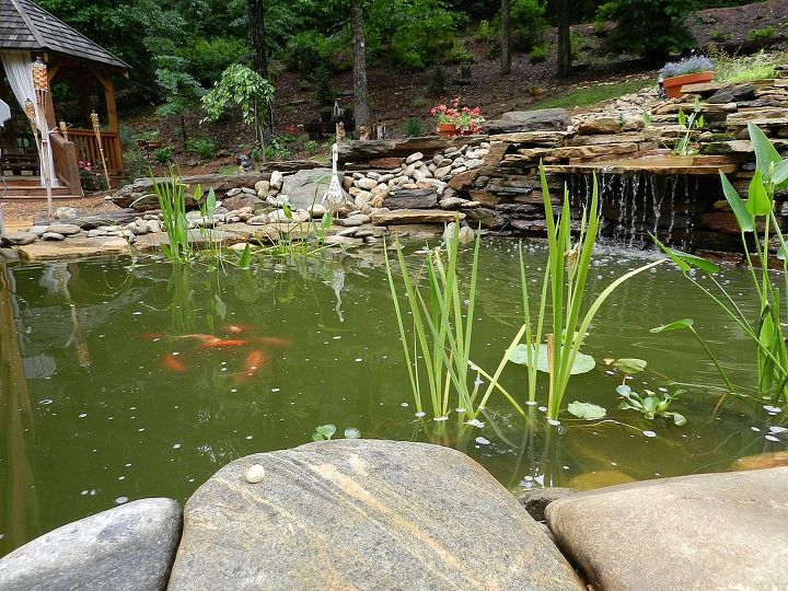 just updating pictures from last years pond project, outdoor living, ponds water features, our happy fish