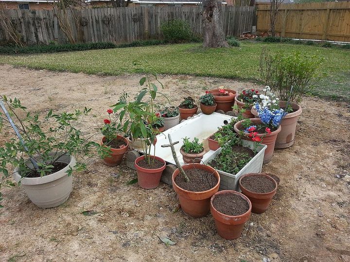 houston tx piscina llena y ahora qu, La vieja ba era se utilizar como fuente de agua Las plantas en maceta ser n eventualmente plantadas alrededor de ella