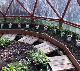 How to Transplant Heirloom Tomato Plants Into the Ground