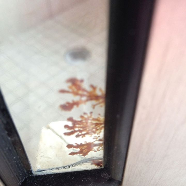 q what is this growing in my shower, bathroom ideas, cleaning tips, home maintenance repairs, Outside of the the shower